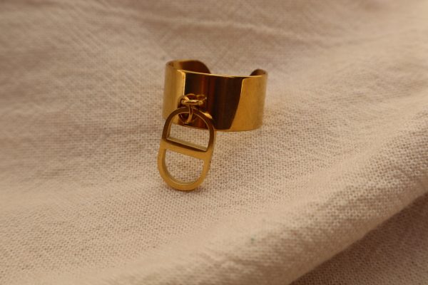 IMG_0851 Bague Infinity